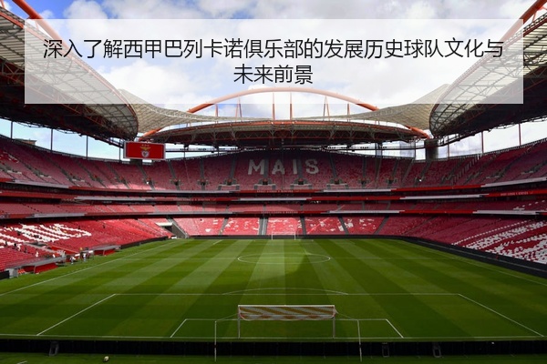 深入了解西甲巴列卡诺俱乐部的发展历史球队文化与未来前景