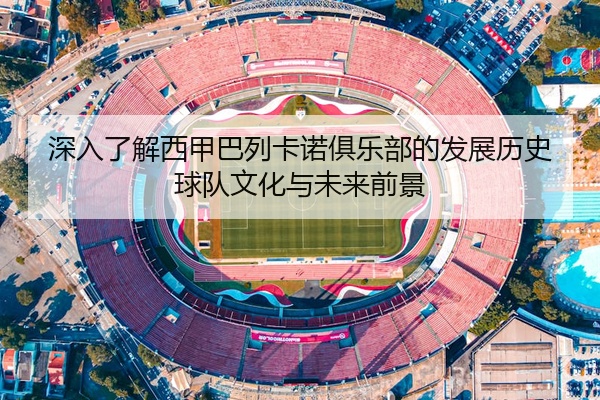 深入了解西甲巴列卡诺俱乐部的发展历史球队文化与未来前景