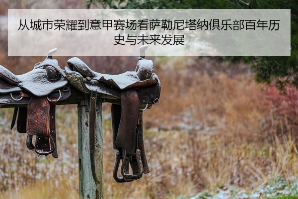 从城市荣耀到意甲赛场看萨勒尼塔纳俱乐部百年历史与未来发展