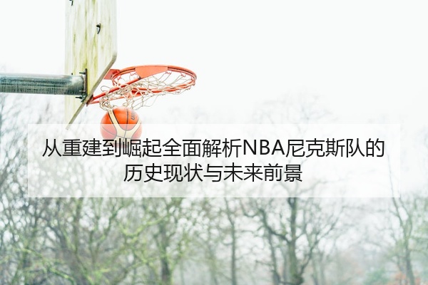 从重建到崛起全面解析NBA尼克斯队的历史现状与未来前景