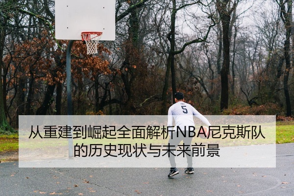 从重建到崛起全面解析NBA尼克斯队的历史现状与未来前景