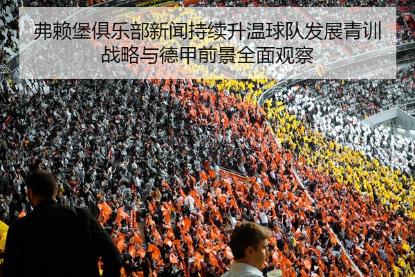 弗赖堡俱乐部新闻持续升温球队发展青训战略与德甲前景全面观察