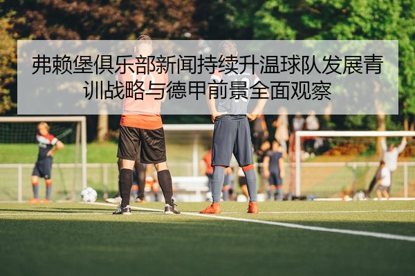 弗赖堡俱乐部新闻持续升温球队发展青训战略与德甲前景全面观察