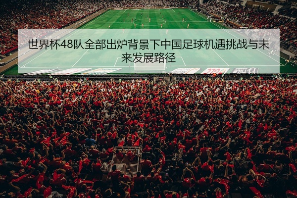 世界杯48队全部出炉背景下中国足球机遇挑战与未来发展路径
