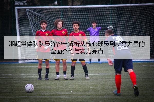湘超常德队队员阵容全解析从核心球员到新秀力量的全面介绍与实力亮点