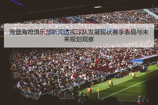海登海姆俱乐部新闻透视球队发展现状赛季表现与未来规划观察